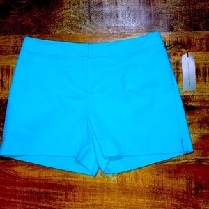 NWT Adrienne Vittadini sky blue short size 6